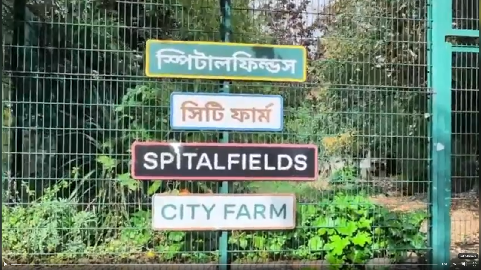 Spitalfields farm volunteering day